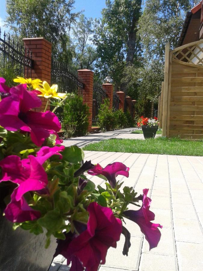 Gosciniec Holiday home *